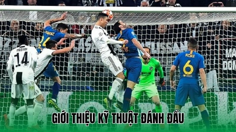 Mẹo Tập Đánh Đầu Hiệu Quả Từ Cơ Bản Đến Nâng Cao Dễ Hiểu 2 Giới thiệu kỹ thuật đánh đầu