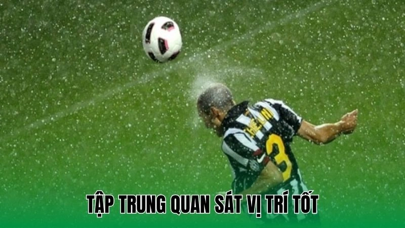 Mẹo Tập Đánh Đầu Hiệu Quả Từ Cơ Bản Đến Nâng Cao Dễ Hiểu 4 Tập trung quan sát vị trí tốt