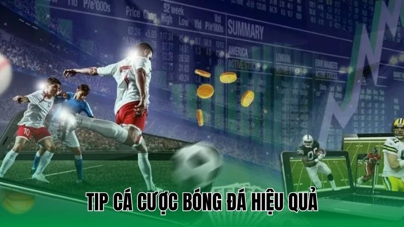 Tip Cá Cược Bóng Đá Việt Nam Giúp Tăng Tỷ Lệ Chiến Thắng 2 Tip cá cược bóng đá hiệu quả