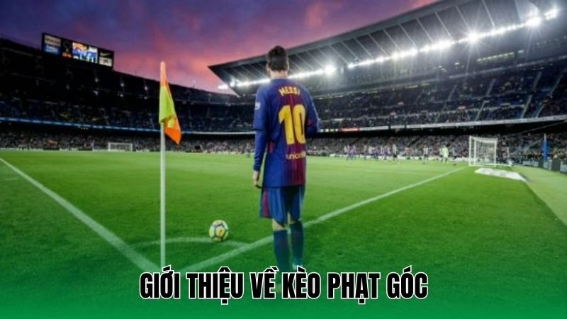 Tip chọn kèo phạt góc chuẩn cho người chơi 2 Giới thiệu về kèo phạt góc